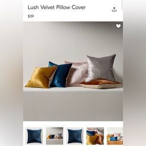 Two Velvet West Elm Pillow Covers